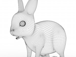 Rabbit 3D Model