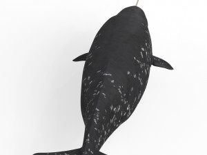 Narwhal Fish 3Dモデル
