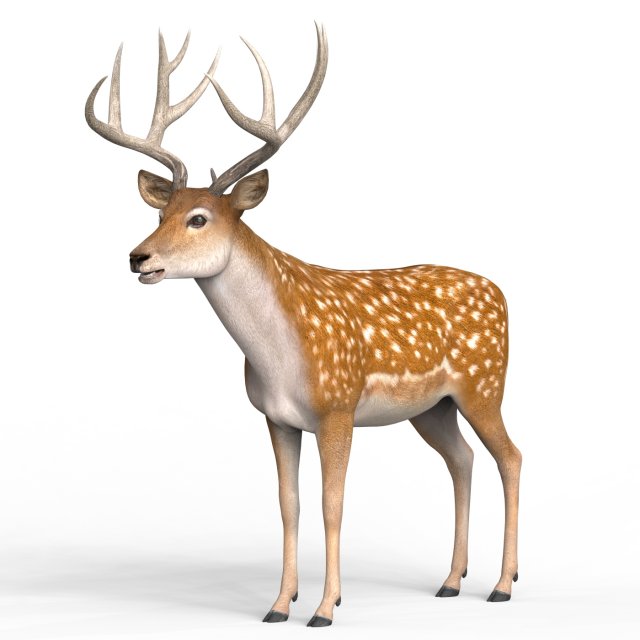 Photorealistic Deer Modello 3D .c4d .max .obj .3ds .fbx .stl .blend 