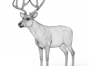 Photorealistic Deer 3D Model