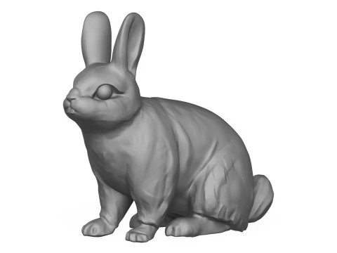 Rabbit 3D Print Model