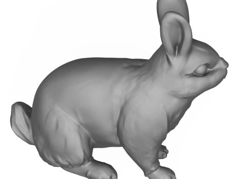 Rabbit 3D Print Model