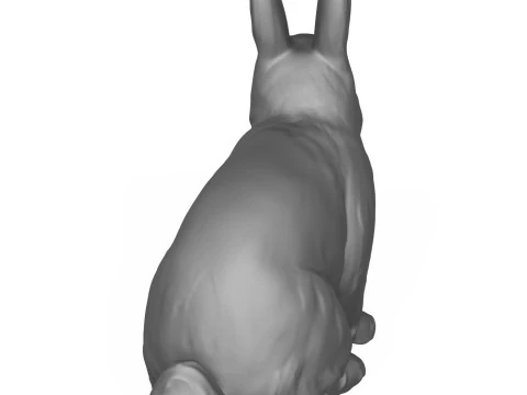 Rabbit 3D Print Model
