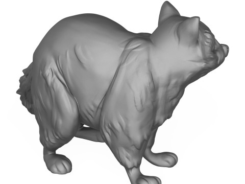 Racoon 3D 打印模型