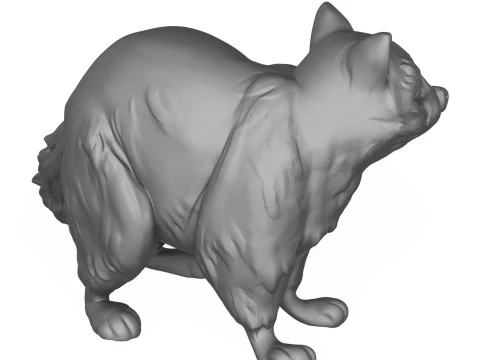 Raton laveur Modèles 3D en vedette