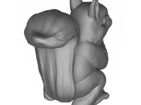 Squirrel 3D Print Model