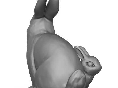 Rabbit Family 3D Print Model