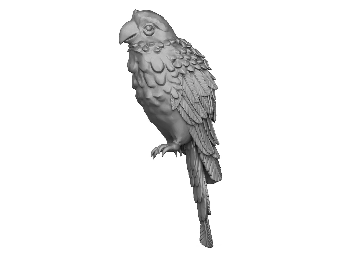 Parrot 3D Print Model .c4d .max .obj .3ds .fbx .stl .blend