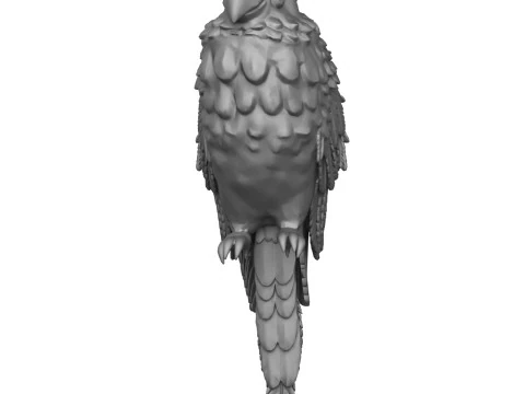 Parrot 3D Print Model