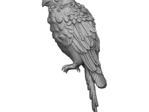 Parrot 3D 프린트 모델