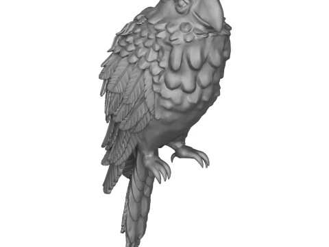 Parrot 3D Print Model