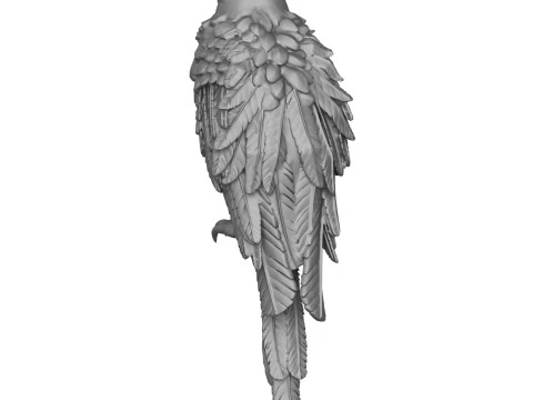 Parrot 3D Print Model