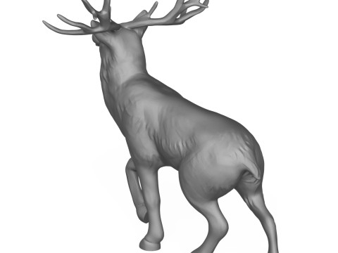 Deer 3D 打印模型