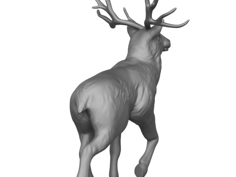 Deer 3D 打印模型