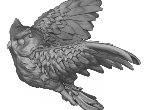 Owl Bird Modèles 3D en vedette