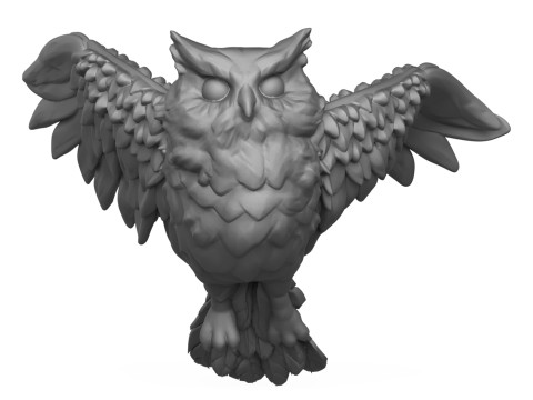 Owl Bird Modèles 3D en vedette