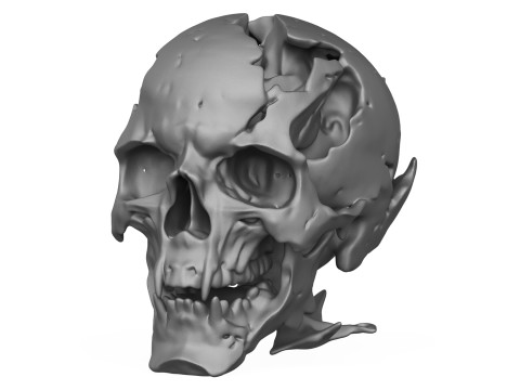Human Skull 3D Print Model 3D printmodel