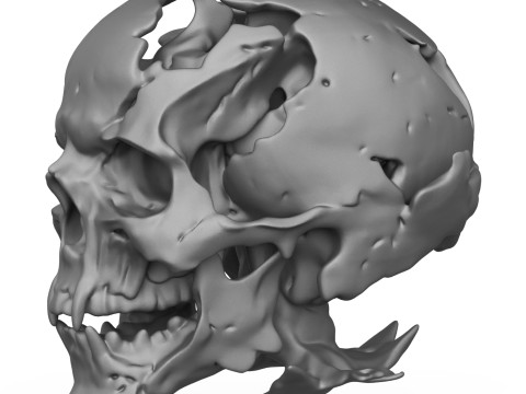 Human Skull 3D Print Model 3D Print Model