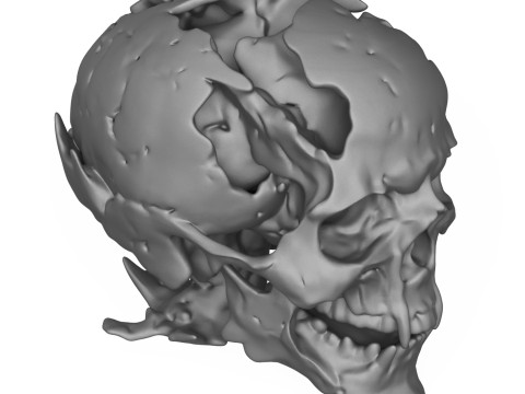 Human Skull 3D Print Model 3D Print Model