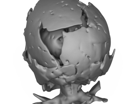 Human Skull 3D Print Model 3D Print Model