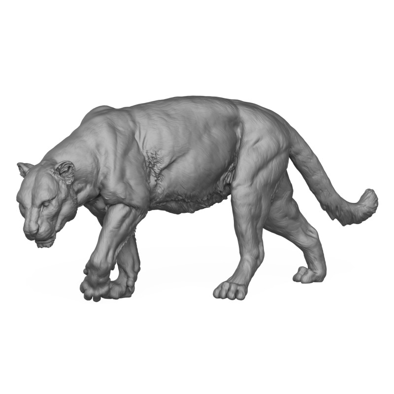 Jaguar Walking 3D Print Model 3D 프린트 모델 .c4d .max .obj .3ds .fbx .stl .blend