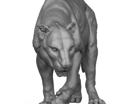 Jaguar Walking 3D Print Model 3D 프린트 모델