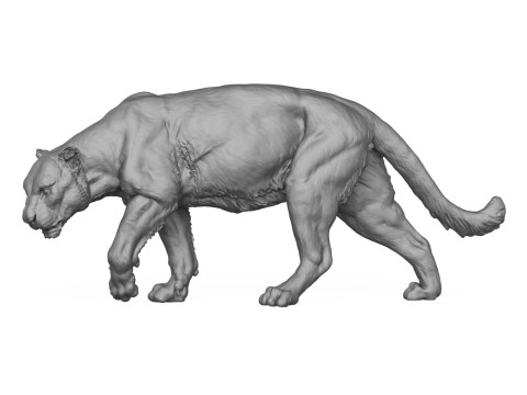 Jaguar Walking 3D Print Model 3D 프린트 모델