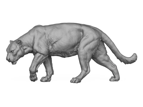 Jaguar Walking 3D Print Model 3D Print Model