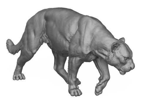 Jaguar Walking 3D Print Model 3D Print Model