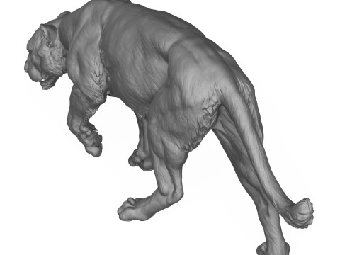 Jaguar Walking 3D Print Model 3D 프린트 모델