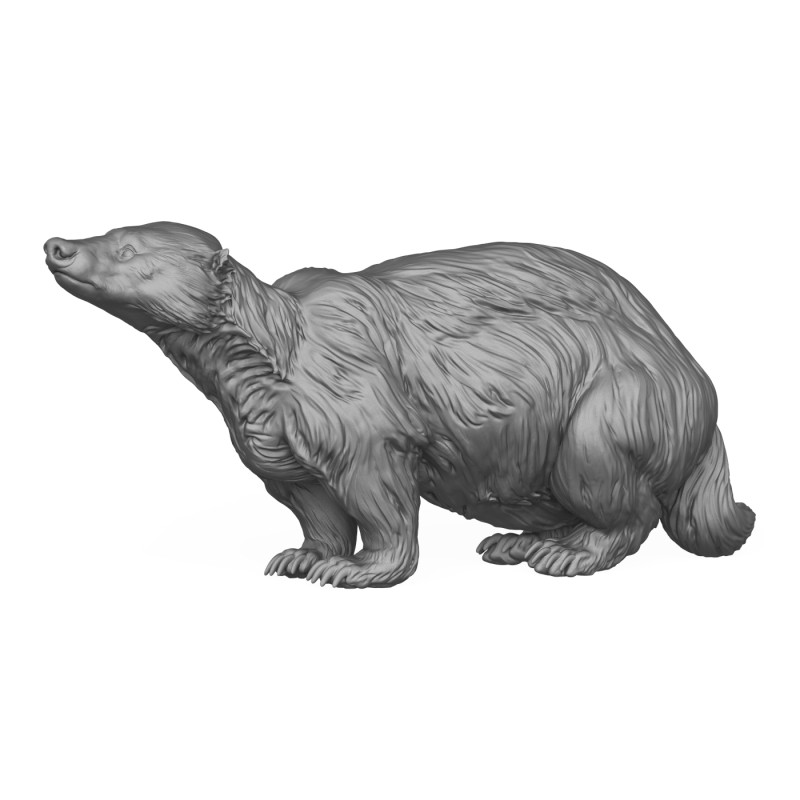 Wild Badger Animal 3D Print Model 3D Принт Модель .c4d .max .obj .3ds .fbx .stl .blend