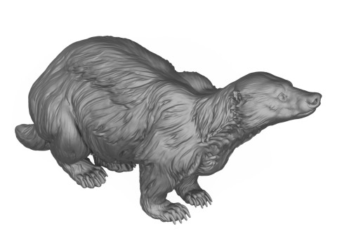 Wild Badger Animal 3D Print Model 3D Принт Модель
