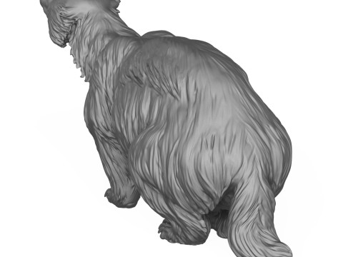 Wild Badger Animal 3D Print Model 3D Принт Модель