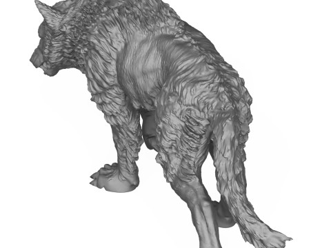 Wild Dire Wolf 3D Print Model 3Dプリントモデル