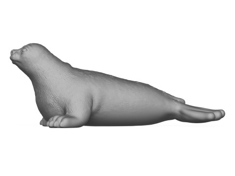 Seal Fish 3D Print Model Modello di stampa 3D