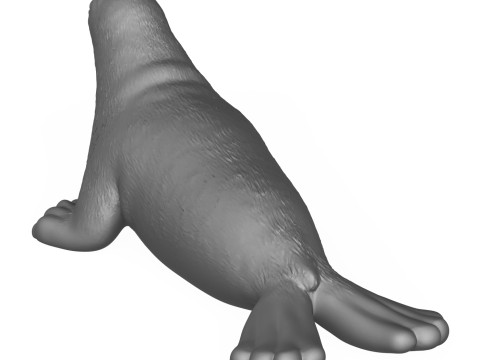 Seal Fish 3D Print Model Modello di stampa 3D