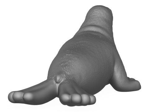 Seal Fish 3D Print Model Modello di stampa 3D