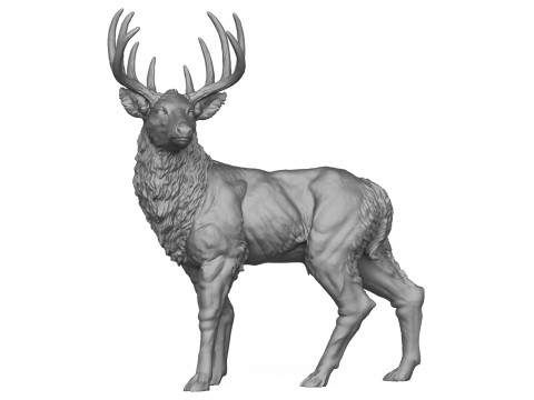 Wild Elk Deer 3D Print Model Model do druku 3D