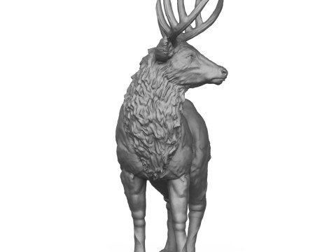 Wild Elk Deer 3D Print Model 3Dプリントモデル