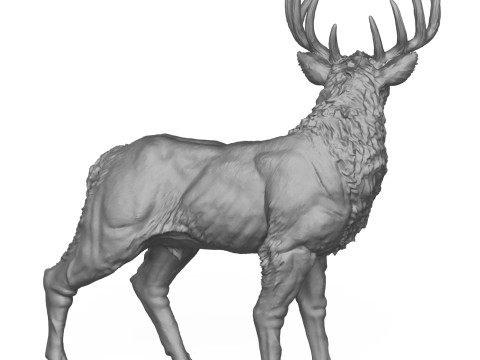 Wild Elk Deer 3D Print Model 3Dプリントモデル