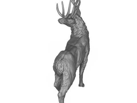 Wild Elk Deer 3D Print Model 3Dプリントモデル