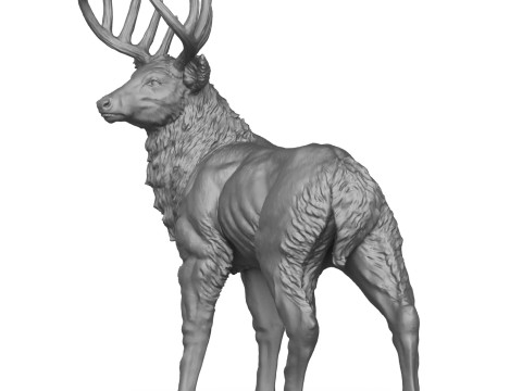 Wild Elk Deer 3D Print Model 3Dプリントモデル