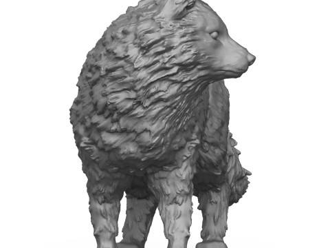 Wild Fox 3D Print Model 3D Print Model