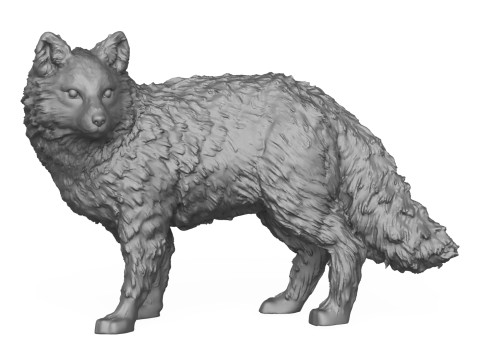 Wild Fox 3D Print Model 3D Print Model