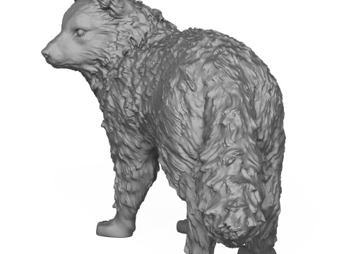 Wild Fox 3D Print Model 3D Print Model