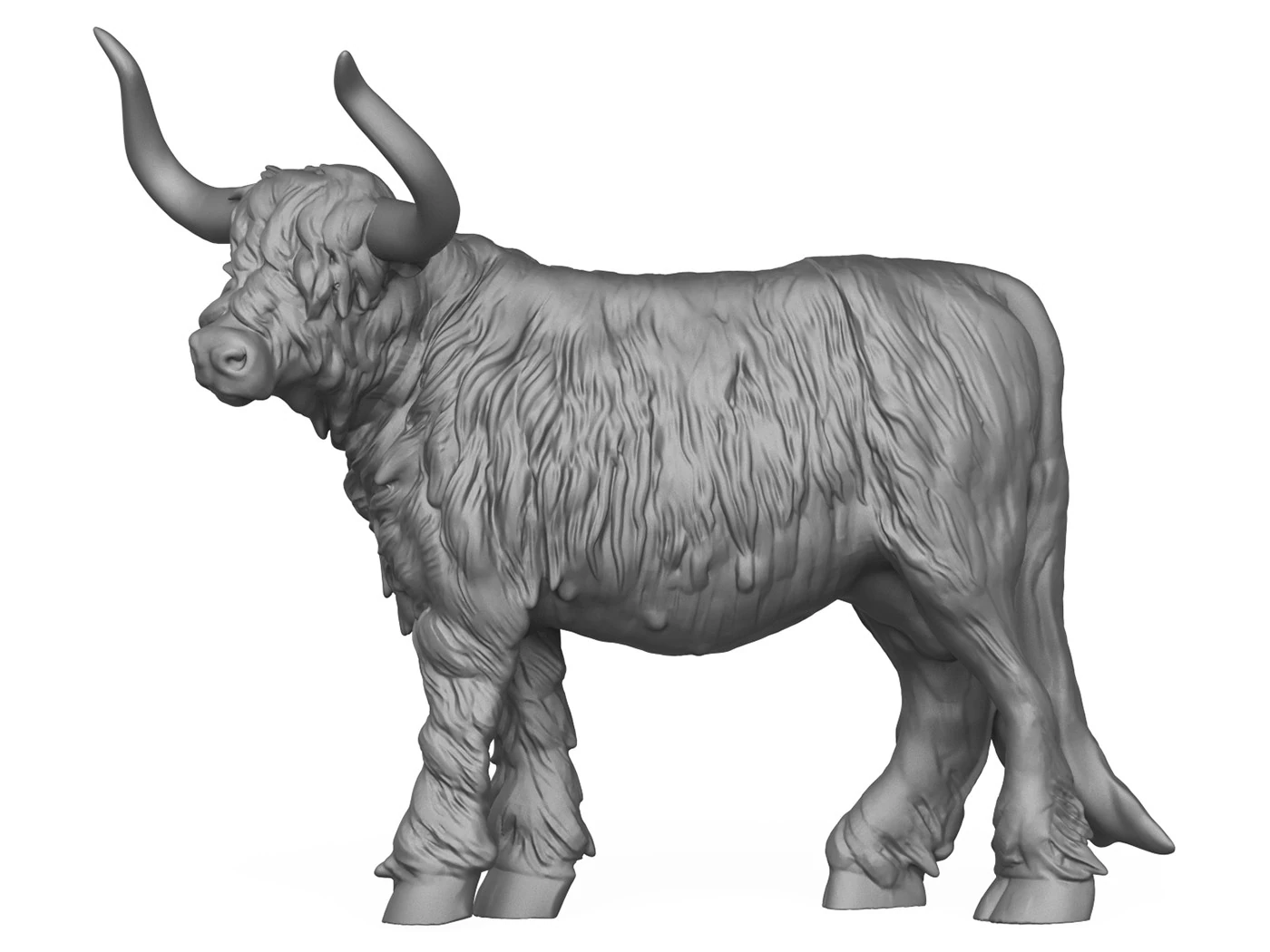 Himalayan Cow 3D Print Model 3D Print Model .c4d .max .obj .3ds .fbx .stl .blend 