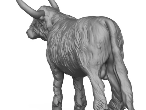 Himalayan Cow 3D Print Model 3D Print Model