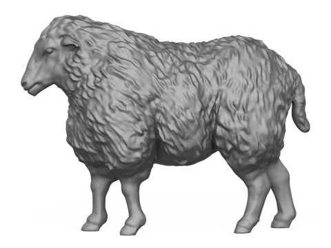 Standing Sheep 3D Print Model 3D Print Model