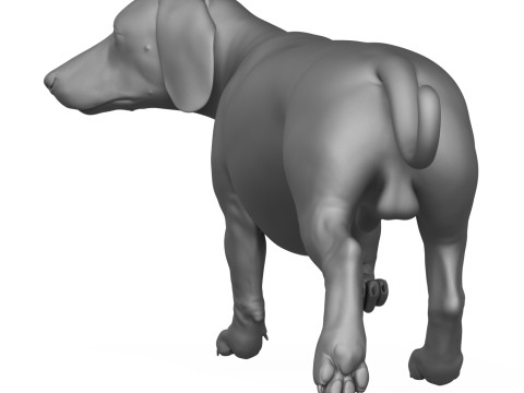 Dachshund Dog 3D Print Model 3D Druckmodell