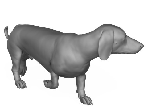 Dachshund Dog 3D Print Model 3D Druckmodell